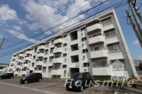 南二軒屋町 マンション 3LDK外観写真