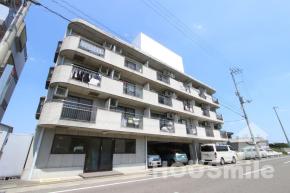 応神町 アパート 1K外観写真
