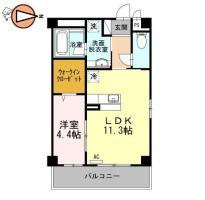 セレーナ沖浜 205間取り図