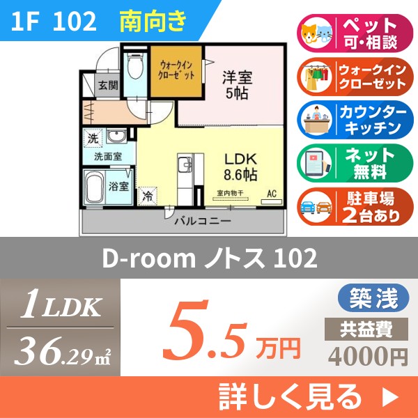 D-room ノトス 102