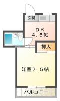 シャトー新星 41