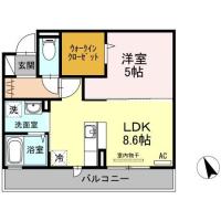 D-Room ノトス 202