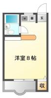 南田宮 マンション 1R 303間取り図
