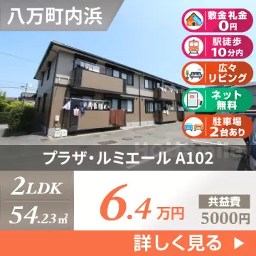 プラザ・ルミエール A102