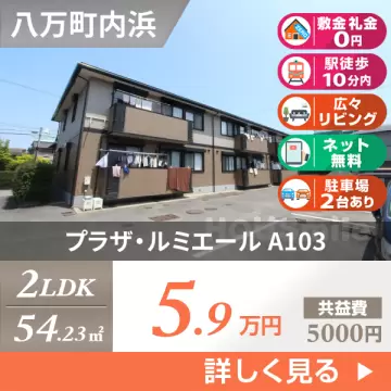 プラザ・ルミエール A103