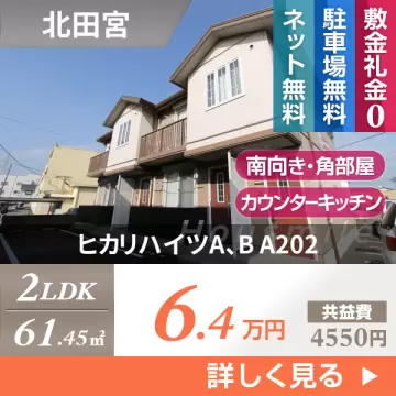 ヒカリハイツA、B A202