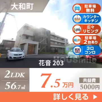 花音 203