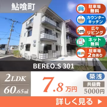 BEREO.S 301