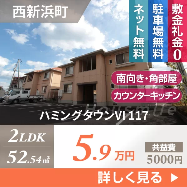 ハミングタウンVI 117