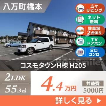 コスモタウンH棟 H205