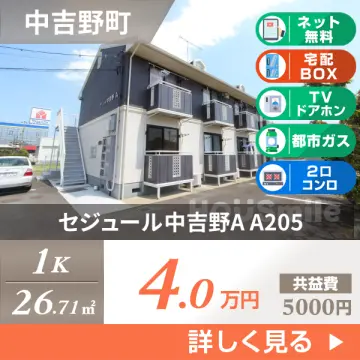 セジュール中吉野A A205