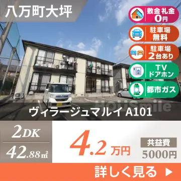 ヴィラージュマルイ A101