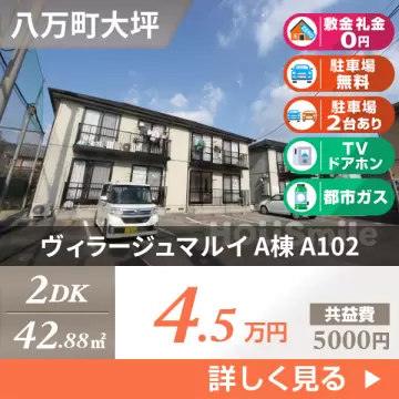 ヴィラージュマルイ A棟 A102