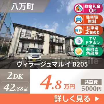 ヴィラージュマルイ B205