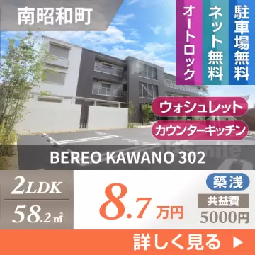 BEREO KAWANO 302