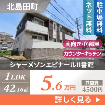 シャーメゾンエピナールII番館 203