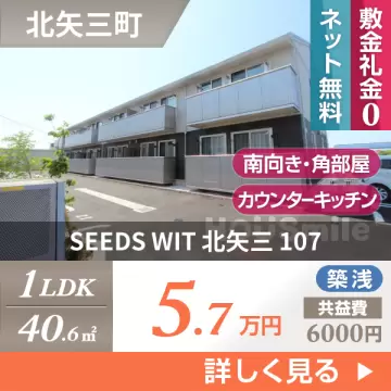 SEEDS WIT 北矢三 107