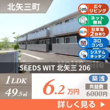 SEEDS WIT 北矢三 206