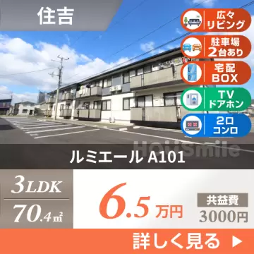 ルミエール A101
