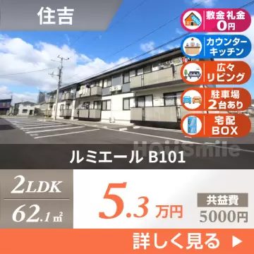 ルミエール B101