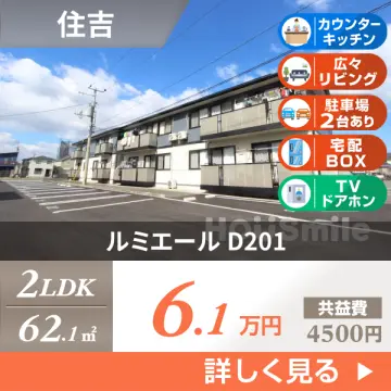 ルミエール D201