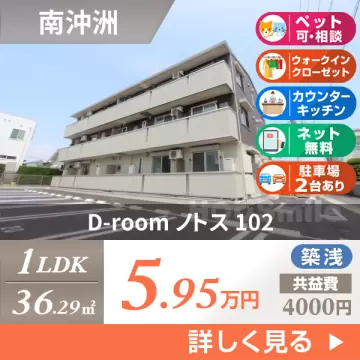 D-room ノトス 102