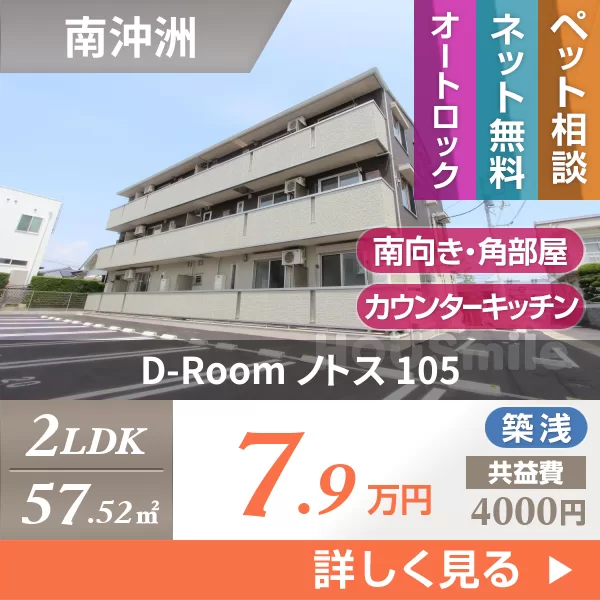 D-Room ノトス 105