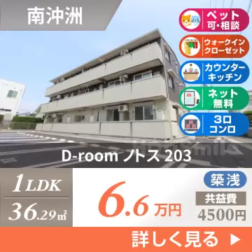 D-room ノトス 203