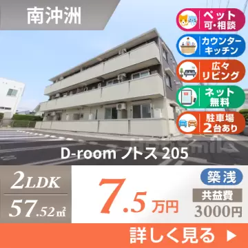 D-room ノトス 205