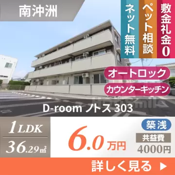 D-room ノトス 303