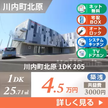 川内町北原 マンション 1DK 205