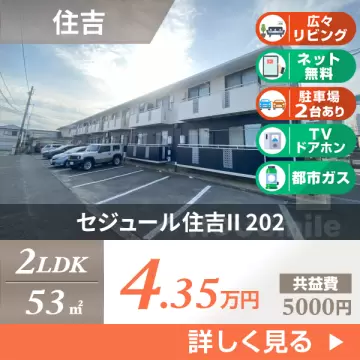 セジュール住吉II 202