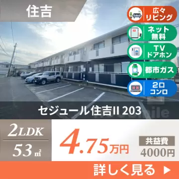 セジュール住吉II 203