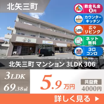 北矢三町 マンション 3LDK 306