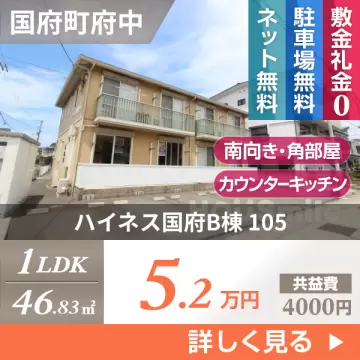 ハイネス国府B棟 105