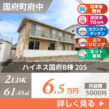 ハイネス国府B棟 205