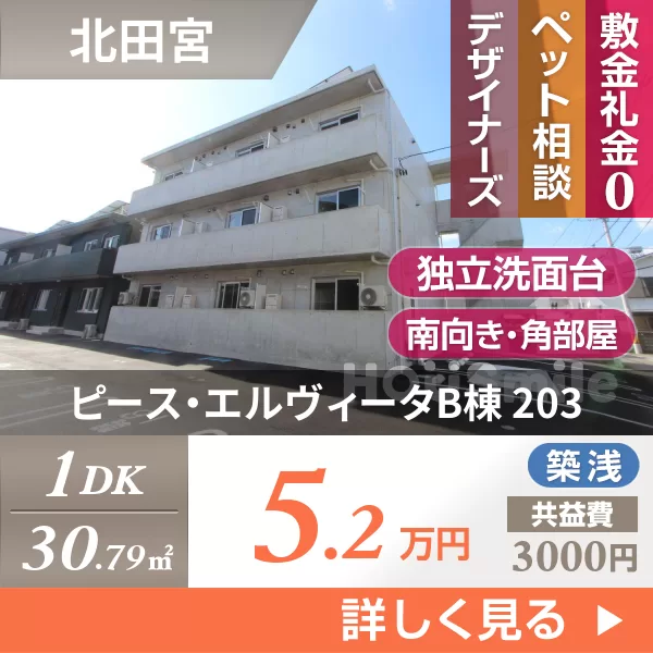 ピース・エルヴィータB棟 203