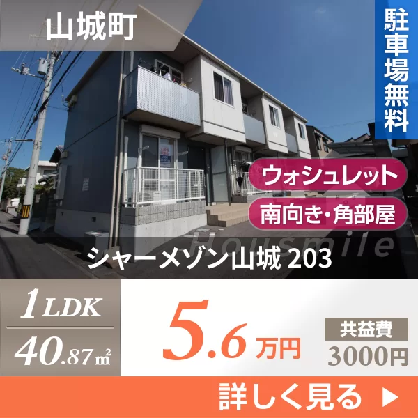 シャーメゾン山城 203