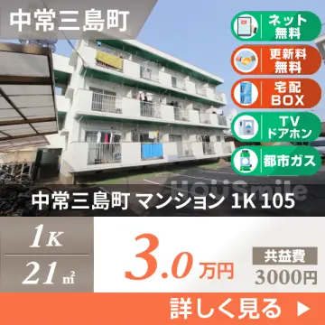 中常三島町 マンション 1K 105
