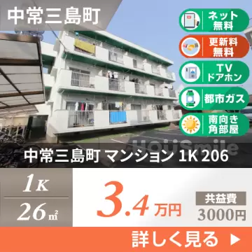 中常三島町 マンション 1K 206