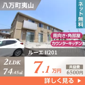 ルーエ II201