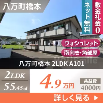 八万町橋本 アパート 2LDK A101