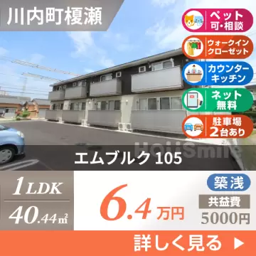 エムブルク 105