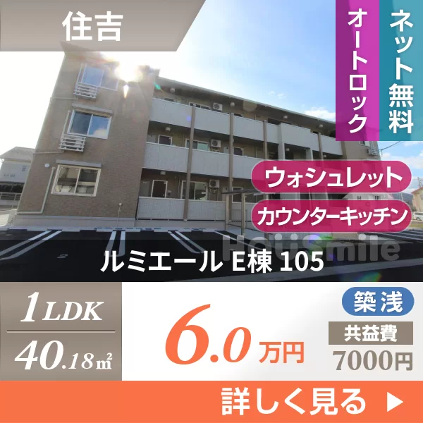 ルミエール E棟 105