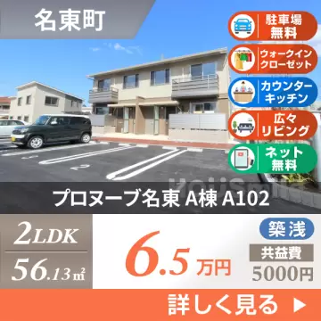 プロヌーブ名東 A棟 A102