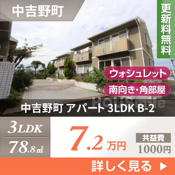 中吉野町 アパート 3LDK B-2