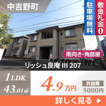 リッシュ良庵 III 207