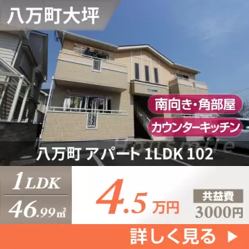 八万町 アパート 1LDK 102
