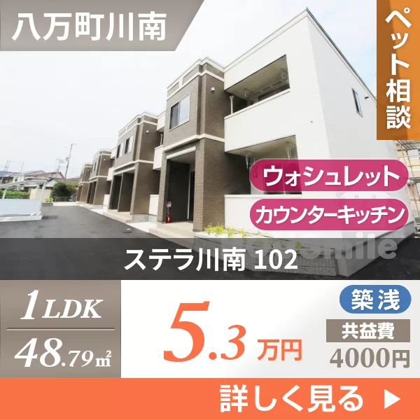 ステラ川南 102