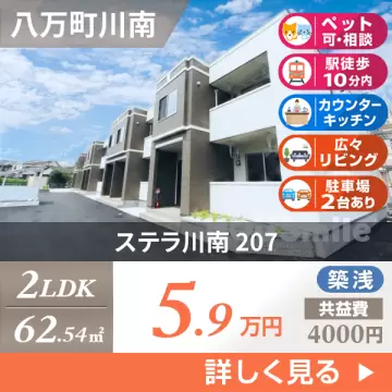 ステラ川南 207